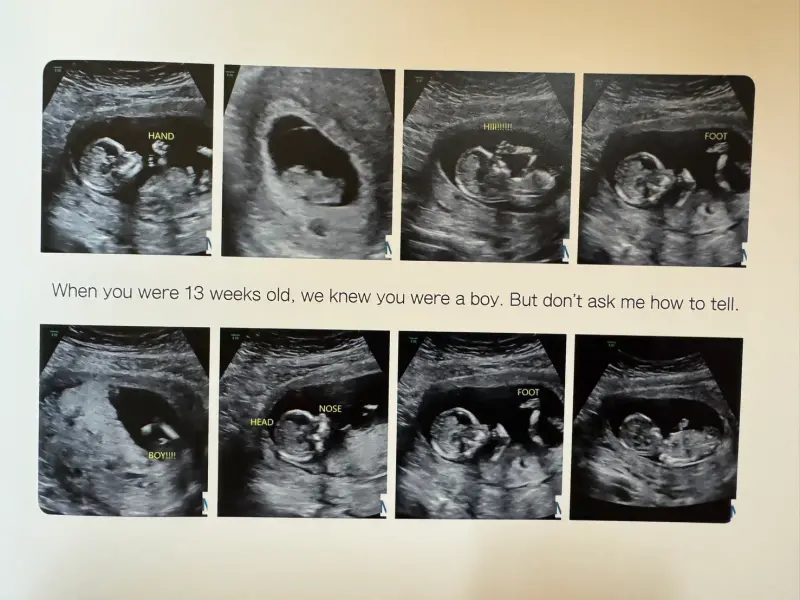    ▲鄒宗翰替將阿陌出生歷程，整理成一本生命之書。（圖／鄒宗翰提供）  