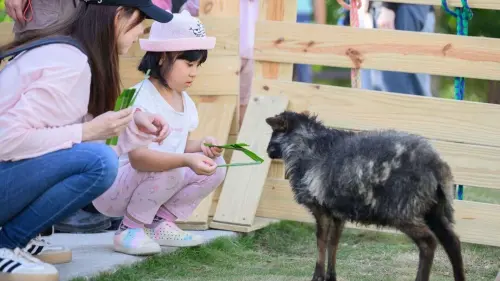 ▲春節安排適合親子同遊的內門「野森動物學校」。（圖／高市府觀光局提供）