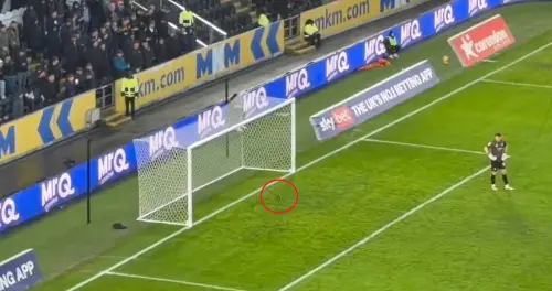 影／松鼠闖英國足球賽「守門員攔不住」衝進球門觀眾嗨翻
