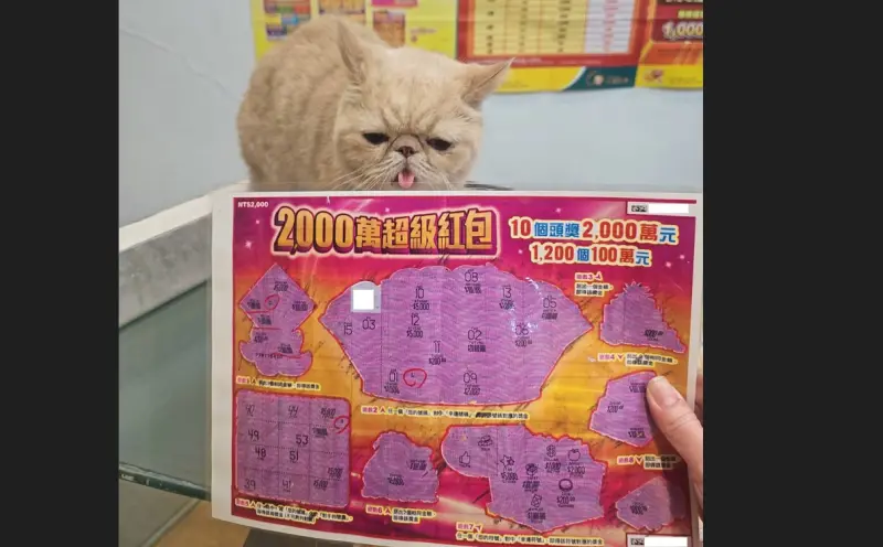 ▲台中男子被店貓招攬，先兌獎5000元，再加購2張「2000萬超級紅包」刮刮樂，結果先刮中2000元，竟又中大獎100萬元。（圖／台灣彩券公司提供）