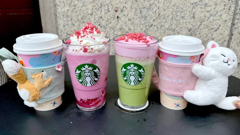 ▲過年前「星巴克買一送一有星冰樂」喝2天情人節好友分享日。今先喝第二杯半價咖啡優惠；2月11日新品櫻花杯開喝草莓抹茶那堤，春櫻柯基、貓咪熊寶寶開賣。85度C周三黑糖珍珠日第二杯半價。（圖／記者蕭涵云攝）