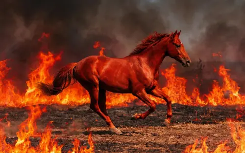 ▲赤馬年擁有強烈火元素疊加，形成旺盛的「雙火」格局，雙火年份雖代表能量旺盛，但也意味著氣場過燥，需特別留意五行調和。（圖／Gemini生成）