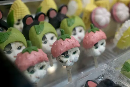 ▲來自泰國的icedea冰品，有貓咪造型冰棒，相當受到歡迎。（圖／記者葉盛耀攝）