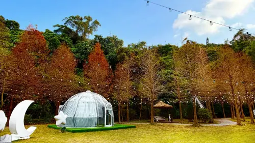 文化花卉走春夯！青青推龍王蟹后春宴迎客
