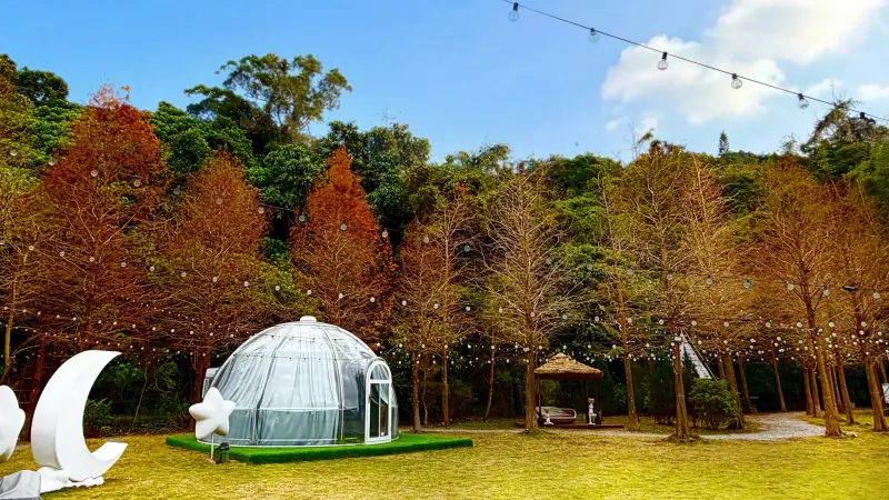 ▲園區擁有大片自然綠地與落羽松林道，與周邊熱鬧花海形成不同節奏。（圖／青青食尚花園會館提供）