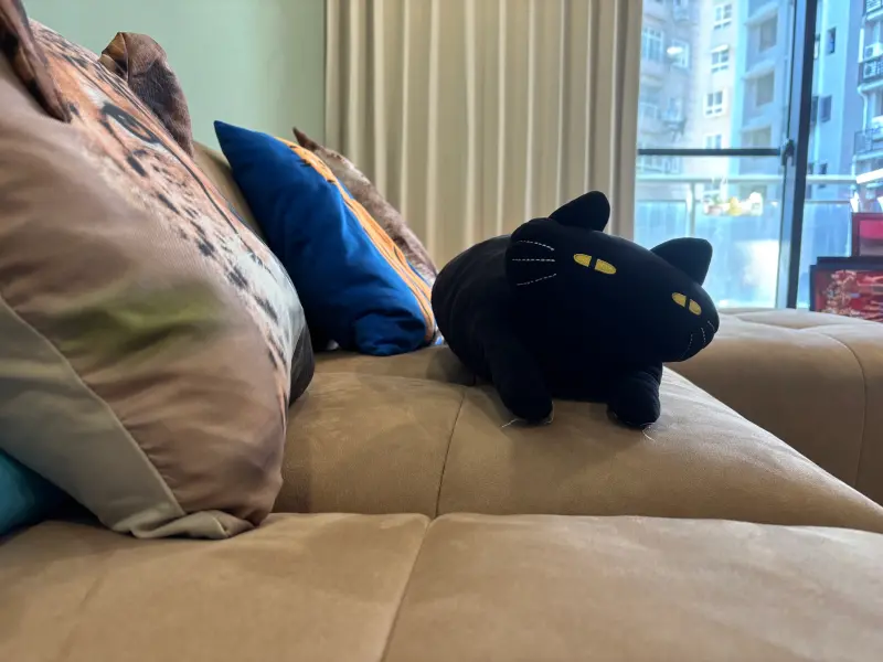 ▲譚敦慈建議，布沙發與窗簾可使用織物清洗機搭配60度溫水除蟎，若為貓抓布材質則需注意清潔方式。（圖／記者徐銘穗攝）