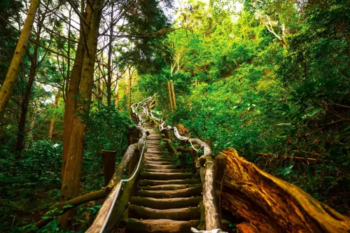 ▲大坑登山步道(圖／觀旅局提供2026.2.12)