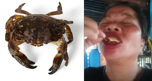 海鮮別亂撿來吃！菲網紅誤食「魔鬼蟹」中毒抽搐搶救2天身亡
