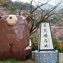    ▲大熊櫻花林營運至今7年，從父親傳承到女兒手上，現在卻面臨地主提告返還土地及給付租金的官司。（圖／翻攝臉書）  