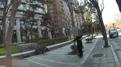 影／黑豬北大特區街頭暴走！警圍捕狂喊「豬豬不要」崩潰畫面曝

