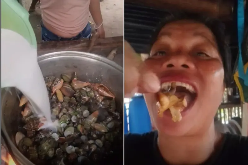 ▲菲律賓一名51歲美食網紅日前為拍攝海鮮料理影片，自行捕撈野生海產下鍋試吃，沒想到因劇毒螃蟹而身亡。（圖／翻攝自影片）