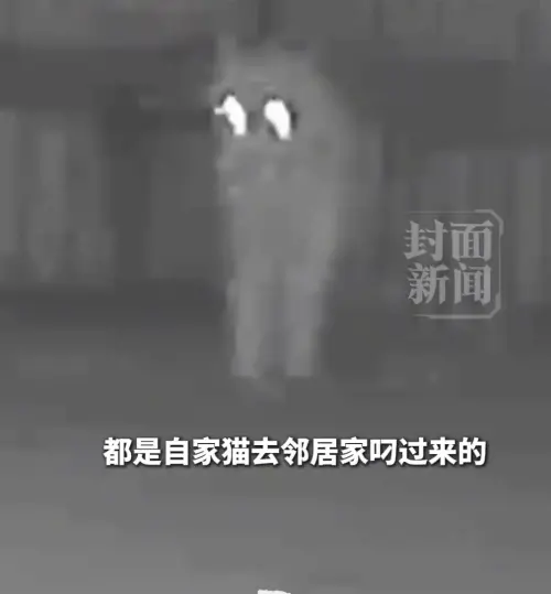 ▲（圖／翻攝自微博）