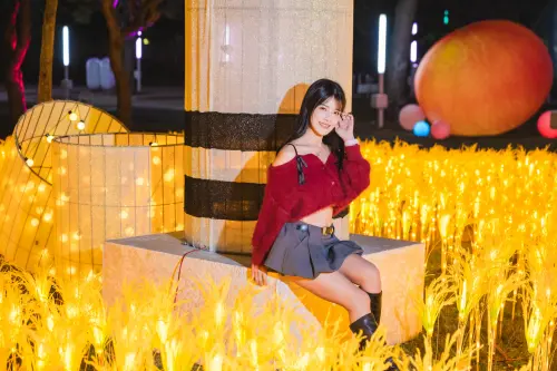 ▲屯區特色燈組「稻影流光」以初霧清酒結合金黃色稻浪，展現在地農業與地方特色交織的(圖／民政局提供2026.2.13)