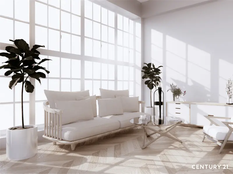 ▲專家建議，2026馬年居家風水佈置，應維持財位明亮通透，並擺放圓葉植物增添生氣。（圖／21世紀不動產提供）