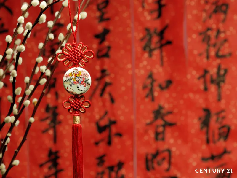 2026居家開運方位全公開！民俗專家揭聚寶盆擺這方位：財運旺整年