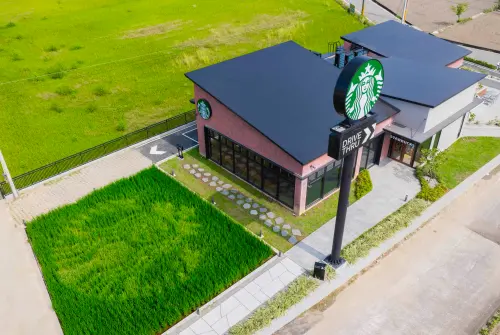 ▲星巴克苑裡稻香門市，女神Logo稻田彩繪備受矚目，現已收割豐收。（圖／星巴克starbucks.com.tw）