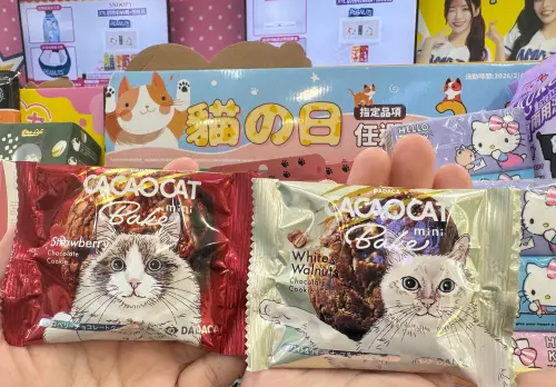 ▲CACAOCAT《可可貓》餅乾，日本知名插畫家特別繪製的貓咪包裝，原價49元買2送1。（圖／記者鍾怡婷攝）