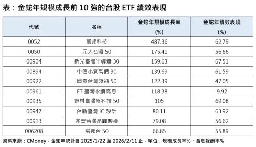▲金蛇年規模成長前10強的台股ETF績效表現。（圖╱法人提供）