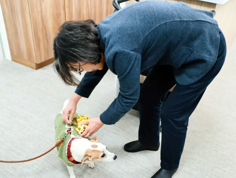 ▲蔡英文替樂樂掛上萌虎。(圖/蔡英文辦公室提供)