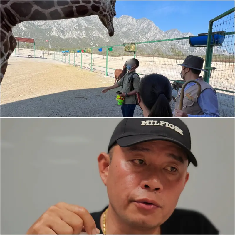 ▲宸禧園貿易老闆莊承璋在一審勝訴後出面受訪，對於六福村求償1477萬、假扣押資產並提告詐欺，他覺得很訝異。（圖／宸禧園貿易提供、記者劉松霖攝）