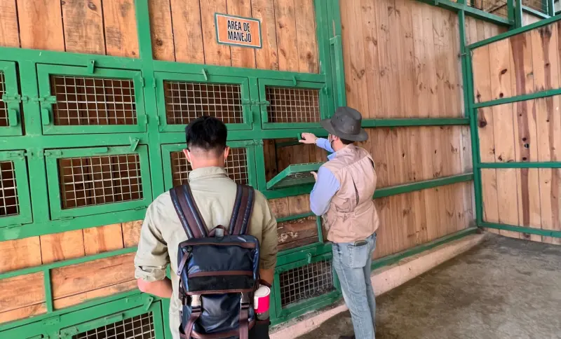    ▲六福村2021年派人與莊承璋一起到墨西哥考察長頸鹿，事後除了民事求償千萬還告刑事詐欺，讓他感到無奈。（圖／宸禧園貿易提供）  