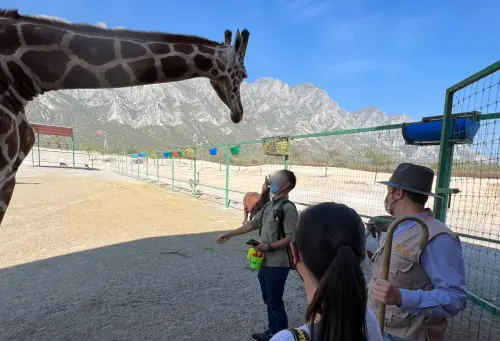 ▲六福村對於墨西哥長頸鹿進口案遭駁回，2024年12月對委託代辦的宸禧園貿易公司求償1477萬，2025年8月對宸禧園負責人莊承璋提告詐欺罪。（圖／宸禧園貿易提供）