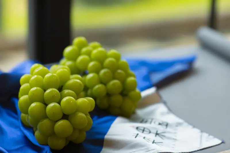 ▲曾經被譽為水果界「愛馬仕」的韓國晴王麝香葡萄，在供應過剩的情況下，價格一路下殺。示意圖（圖／取自Pixabay）