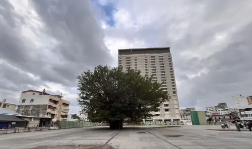 ▲花蓮縣「原永發停車場東洋站空地」全時段開放民眾免費臨時停放車輛。（圖／取自花蓮縣政府）