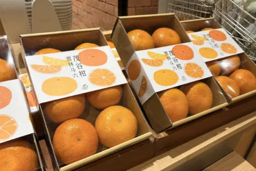 ▲國產茂谷柑禮盒。（圖／農業部農糧署提供）