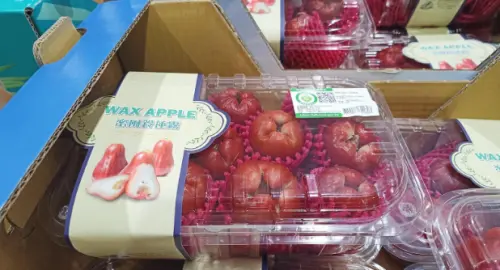 ▲產銷履歷蓮霧禮盒。（圖／農業部農糧署）