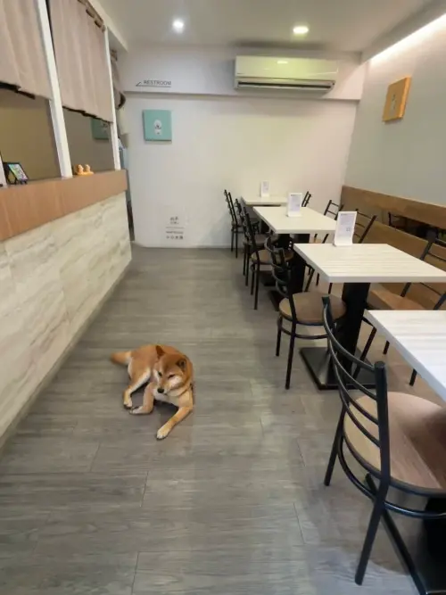 ▲農業局長陳冠義表示，桃園市去（114）年底達標建置並維護30座寵物友善公園與友善專區，分佈於全市13個行政區。（圖／桃市府農業局）