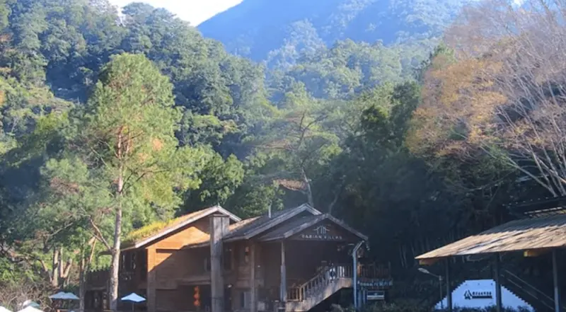 ▲台中市和平區近期發生一起山難事故，葉姓男子於本月6日獨自攀爬八仙山後失聯，消防隊利用無人機發現大體蹤跡，並吊掛下山。（圖／翻攝八仙山國家森林遊樂區即時影像）