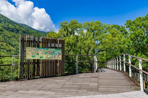 春節訪北橫　賞櫻泡湯探索美景
