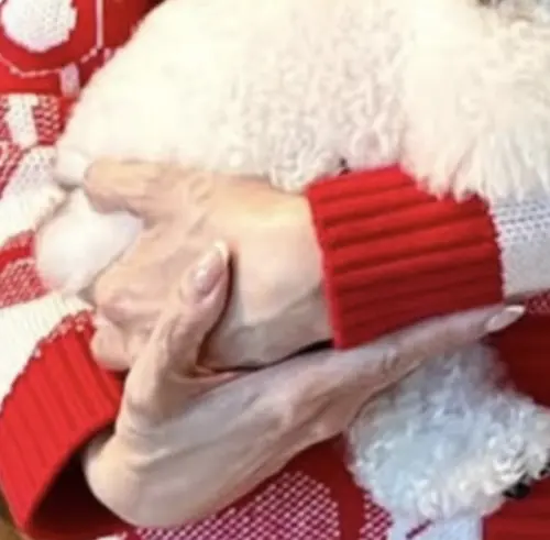 ▲李嘉欣抱著愛犬的手，被網友說很像60歲。（圖／摘自 IG@michele_monique_reis)