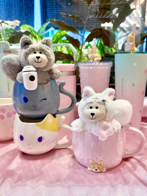 ▲星巴克超人氣Bearista小熊，化身一對牽手貓咪有夠萌。（圖／記者蕭涵云攝）