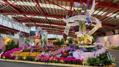 ▲2026「花在彰化」活動辦在彰化溪洲公園，展期至3月1日。（圖／取自臉書粉專「彰化縣政府農業處」）