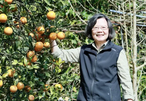 卸任鍾愛爬山！蔡英文介紹10隻狗朋友　新年不忘送零食加菜
