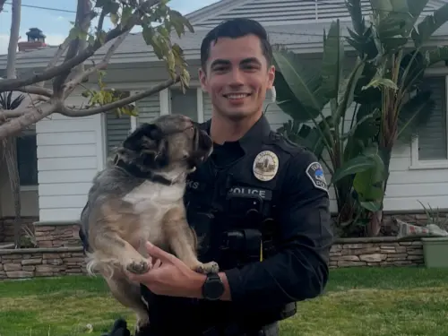 好想被逮捕！洛杉磯帥警狂吸40萬讚　全網歪樓沒人關心小狗
