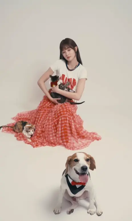 ▲▼米格魯「勘吉」（上圖前、下圖）過去經常出現在王淨、其男友曹佑寧的粉專上，出鏡率不低。（圖／王淨 Gingle IG@_ginglebellaaa）