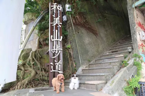 寵物走春懶人包》新北10大寵物旅遊路線攻略、927家友善店家地圖
