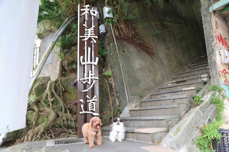 寵物走春懶人包》新北10大寵物旅遊路線攻略、927家友善店家地圖