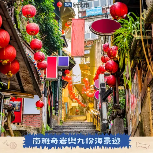 ▲北海岸的南雅奇岩與九份海景遊結合山城文化與自然海蝕奇景。（圖／新北市動保處）