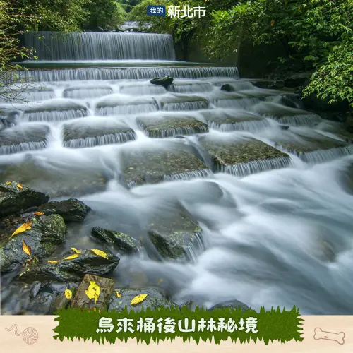 ▲烏來桶後山林秘境可享受原民美食，讓寵物在秘境中呼吸芬多精，順便親近大自然。（圖／新北市動保處）