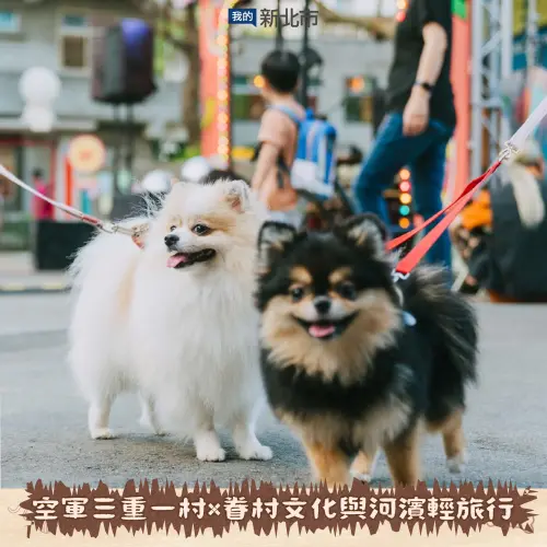 ▲空軍三重一村內寵物需全程牽繩。（圖／新北市動保處）