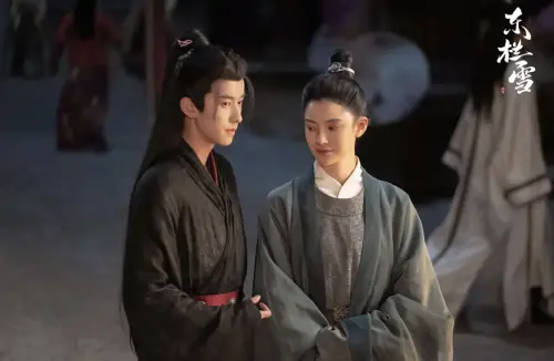 ▲《東欄雪》描述冷酷宮女和逐漸黑化的皇子之戀，男主角明知道自己被利用卻心甘情願，超級虐。（圖／翻攝自豆瓣）