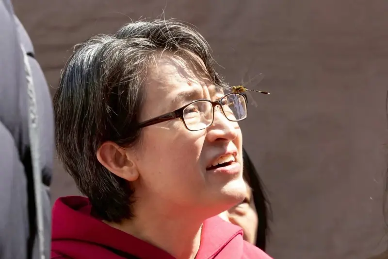    ▲副總統蕭美琴巧遇蜻蜓停在眼鏡上，笑說有吉祥的意義。（圖／取自蕭美琴Threads）  