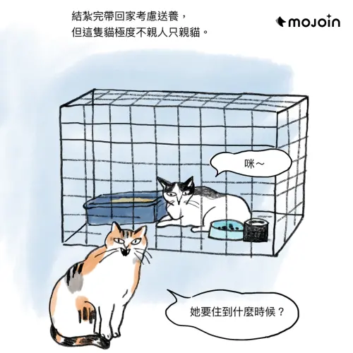 ▲陳沛珛〈中途人生〉圖/MOJOIN 提供