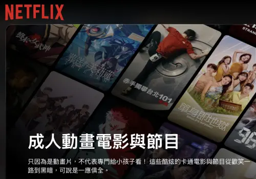 ▲Netflix隱藏代碼，就連成人動畫與電影都看得到。（圖／翻攝自Netflix官網）