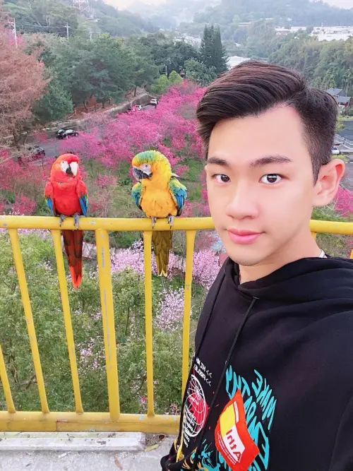 ▲自中南美洲珍貴的金剛鸚鵡，擁有鮮艷羽毛，聰明伶俐，每天2場放飛秀成為最佳迎賓天使！（圖／業者提供）