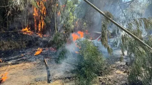 快訊／驚悚！新店第三公墓突起火　火舌猛吞「休旅車慘燒成廢鐵」
